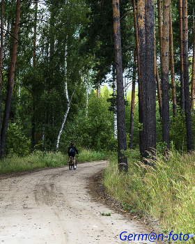Radfahrer / ***