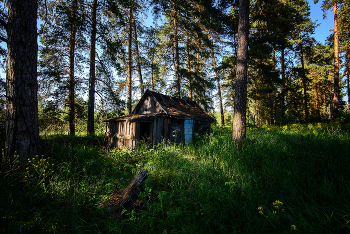 Der Hut ... / ***