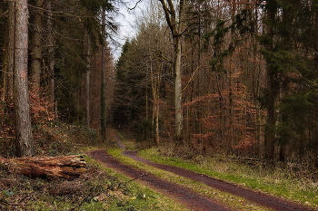 Bewölkt am Abend / ***
