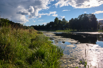 Abend im Park / ***