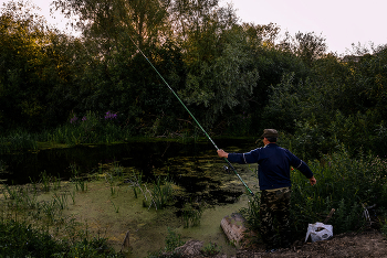 Alter Teich ... / ***