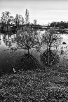 Leben rund um / ***