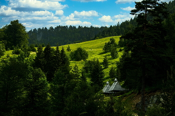 Tara / ***