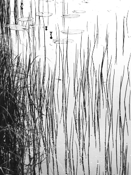 Leben rund um / ***