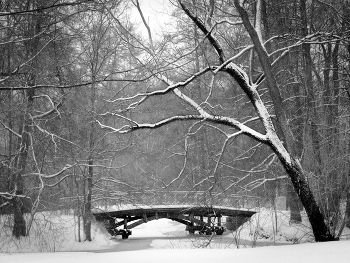 Brücke / ***