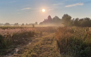 Die Sonne steigt ... / ***