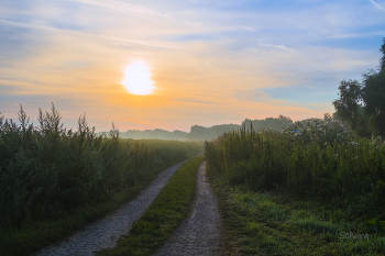 In dem Feld. / ***