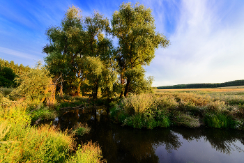 Fluss ... / ***