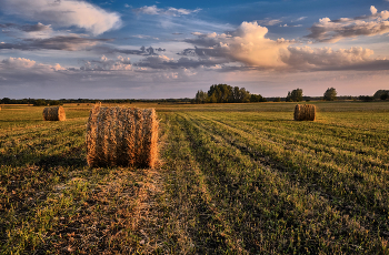 Verlassen Sommer / ***