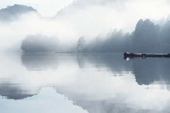 Schwerelosigkeit / ***