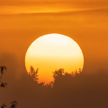 Aufgang der Sonne / ***