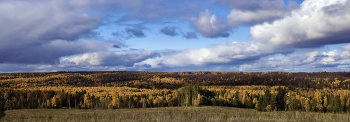 Herbst / ***