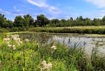 Sommer endet ... / ***