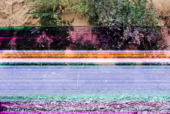  / Iii