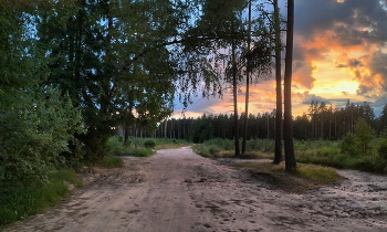 Abend im Wald / ***
