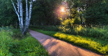 Abendsonne / ***
