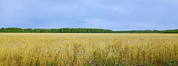 Gesichtskreis / ***