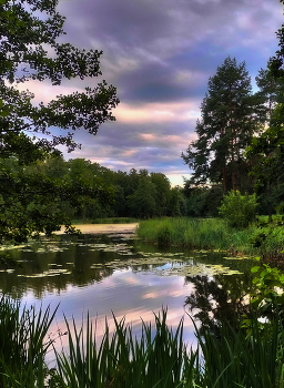 Summer Sunset / ***