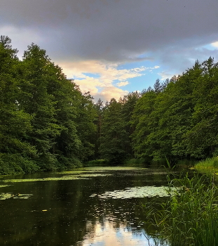 Nach dem Regen / ***