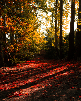  / Welcom To Automn