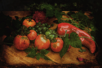 Still Life / ***