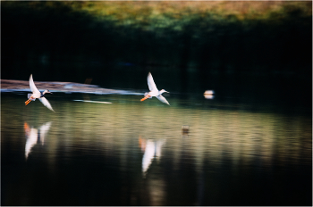 Herbst / ***