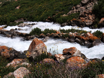 Fluss und Felsen / ***