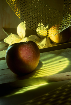 apfel / ***