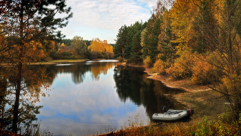 Herbst / ***