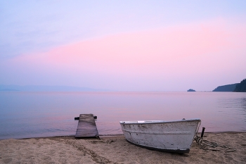 Summer Dream / ***