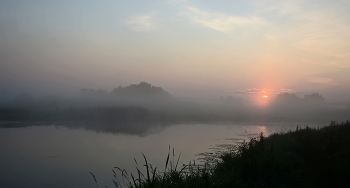 Nebliger Morgen / ***