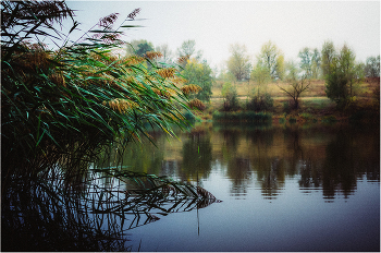 Nach dem Regen / ***