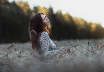Sunset / ...
