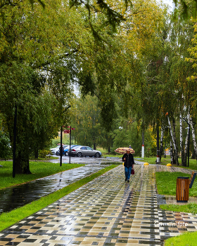 Regen / ***