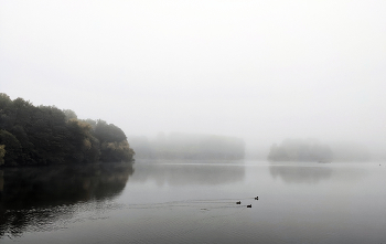 Nebel / ***