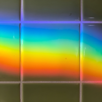 Regenbogen / ***