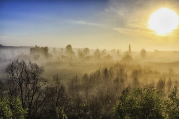 Herbst Morgennebel / ***