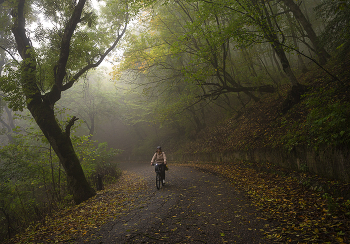 Herbst Wanderung / ***