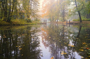 Herbst / ***