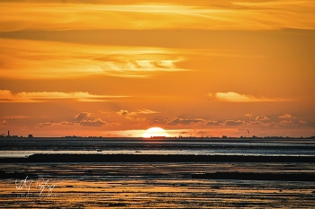 Letztes Licht / Sonnenuntergang im Watt