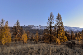 Altai / ***