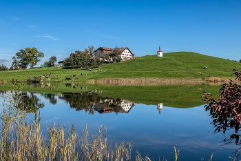 Spiegelung / Spiegelung im Hergardsriedersee