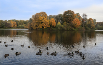 Herbst in der Stadt / ***