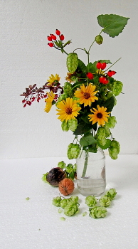 Herbst / ***