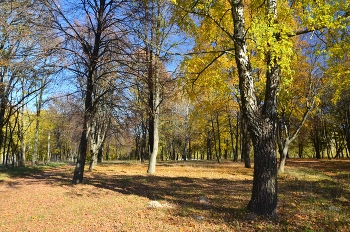 Herbst in der Stadt / ***