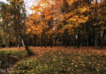 Herbst / ***