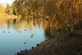 im Oktober / ***