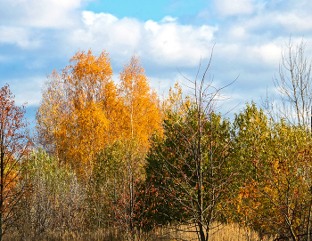 Herbst / ***
