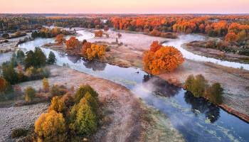 Herbst in vollem Gange / ***