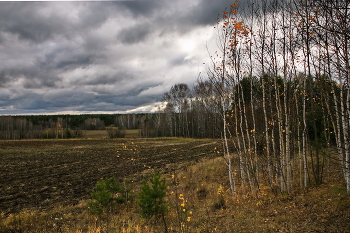 Herbst Nachmittag. / ***